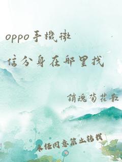 oppo手机微信分身在哪里找