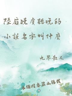 陆庭晓虞听晚的小说名字叫什么