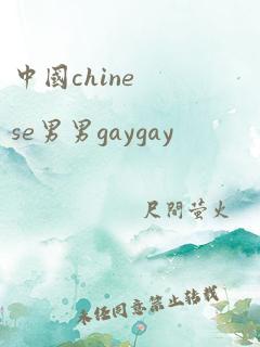 中国chinese男男gaygay