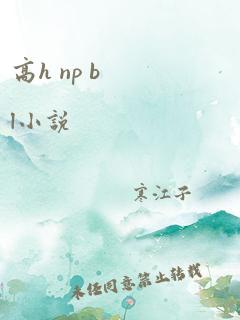 高h np bl小说