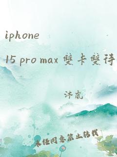 iphone 15 pro max 双卡双待