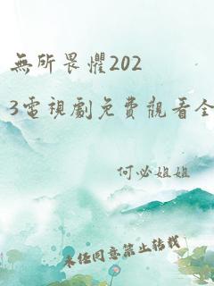 无所畏惧2023电视剧免费观看全集