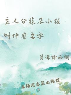 主人公苏辰小说叫什么名字