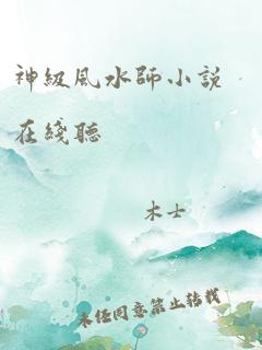 神级风水师小说在线听