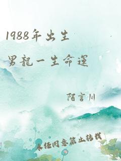 1988年出生男龙一生命运