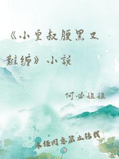 《小皇叔腹黑又难缠》小说