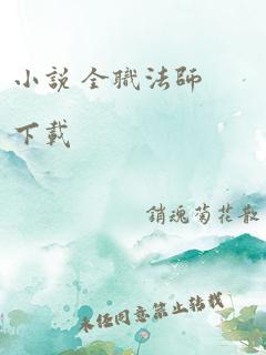 小说 全职法师下载