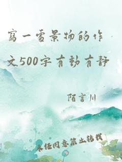 写一处景物的作文500字有动有静