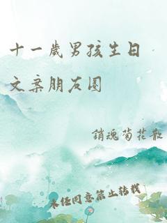 十一岁男孩生日文案朋友圈