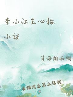 李小江王心怡,小说