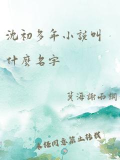 沈初多年小说叫什么名字