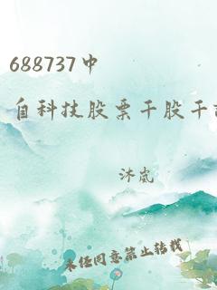 688737中自科技股票千股千评