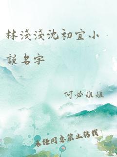 林浅浅沈初宜小说名字