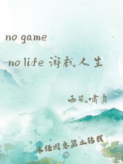 no game no life 游戏人生