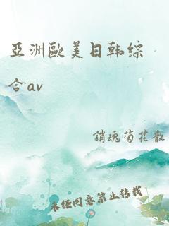 亚洲欧美日韩综合av