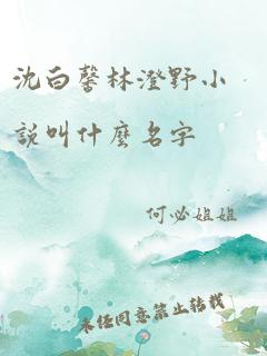 沈白馨林澄野小说叫什么名字