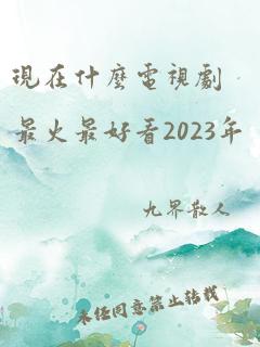 现在什么电视剧最火最好看2023年