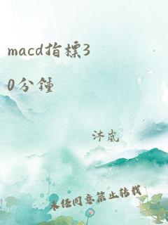 macd指标30分钟