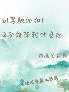 b1驾驶证扣12分能降到什么证