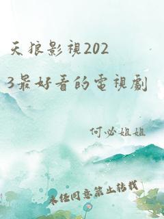 天狼影视2023最好看的电视剧