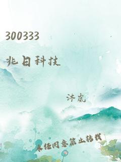 300333 兆日科技