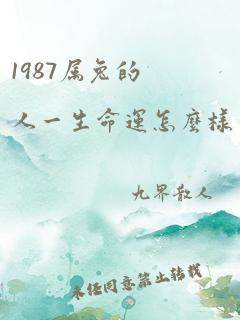 1987属兔的人一生命运怎么样