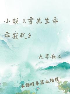 小说《霍先生乖乖宠我》