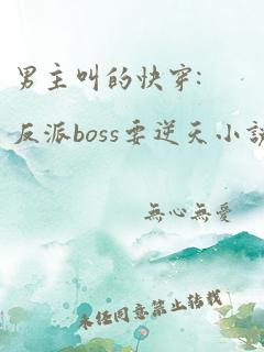 男主叫的快穿:反派boss要逆天小说