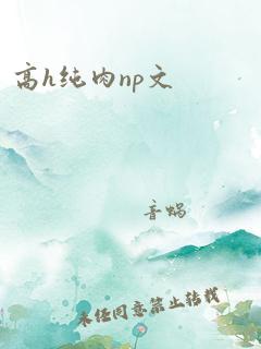 高h纯肉np文