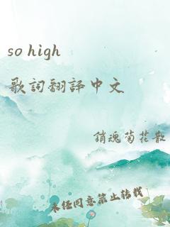 so high歌词翻译中文