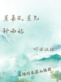 叶长风 叶凡 轩雨妃