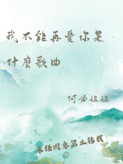 我不能再爱你是什么歌曲