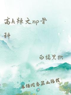 高h辣文np骨科