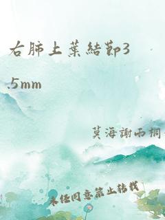 右肺上叶结节3.5mm