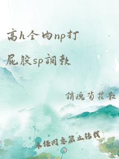 高h全肉np打屁股sp调教