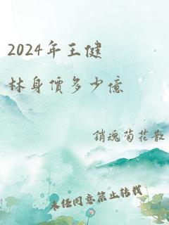 2024年王健林身价多少亿