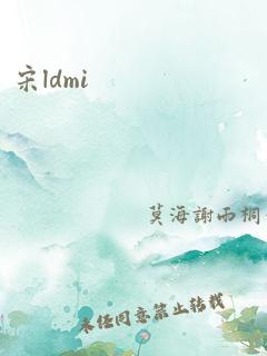 宋ldmi