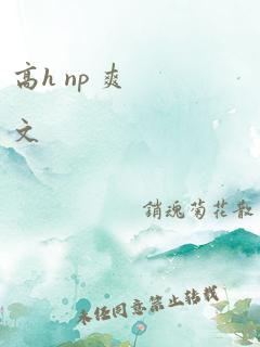 高h np 爽文