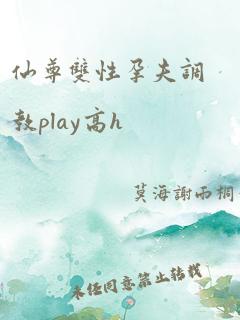 仙尊双性孕夫调教play高h