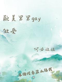 欧美男男gay做受