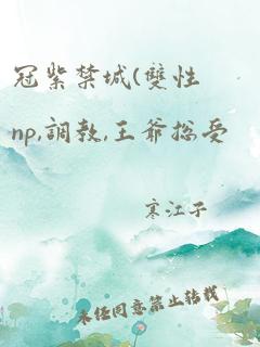 冠紫禁城(双性np,调教,王爷总受