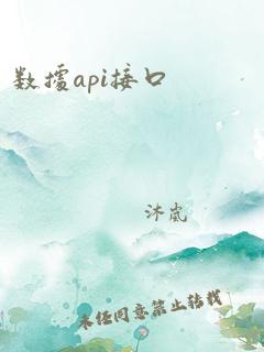 数据api接口