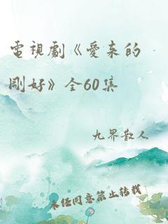 电视剧《爱来的刚好》全60集