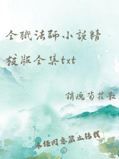 全职法师小说精校版全集txt