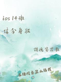 ios 14微信分身版