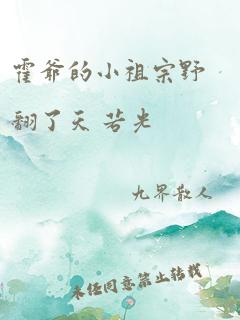 霍爷的小祖宗野翻了天 若光