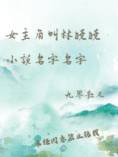 女主角叫林晓晓小说名字名字