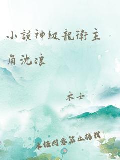 小说神级龙卫主角沈浪