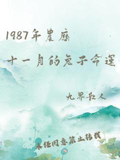 1987年农历十一月的兔子命运