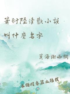 萧衍陆清欢小说叫什么名字